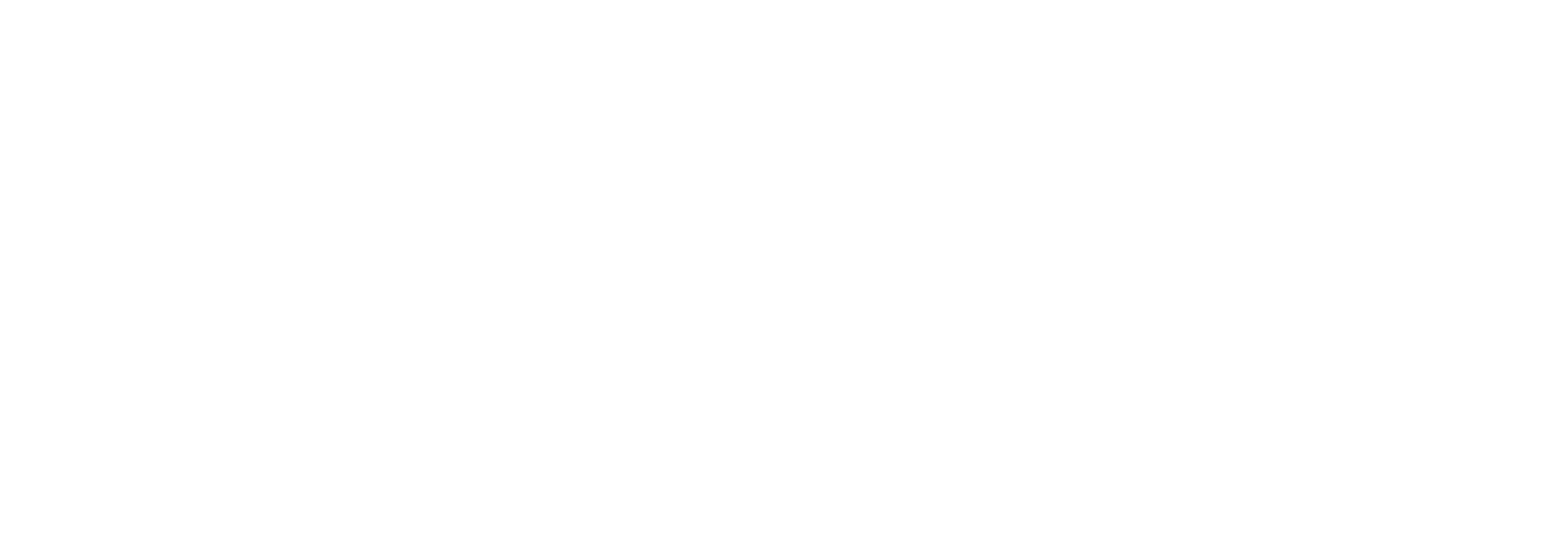 Chiquis Official Merch